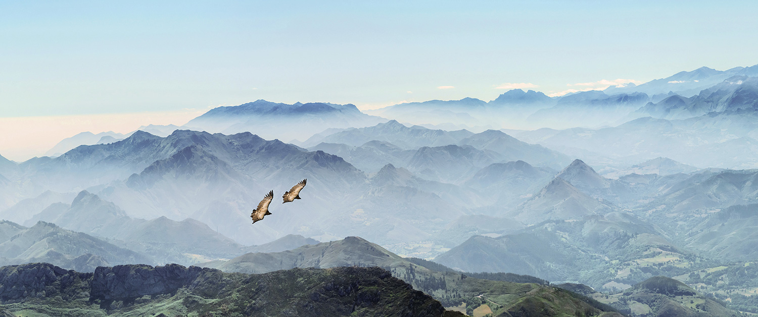 BuP_Header_Wir-neu
